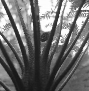 a3769165563_10